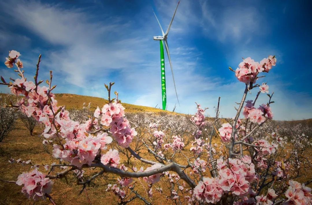 九游会·J9(中国游)集团官网-真人游戏第一品牌